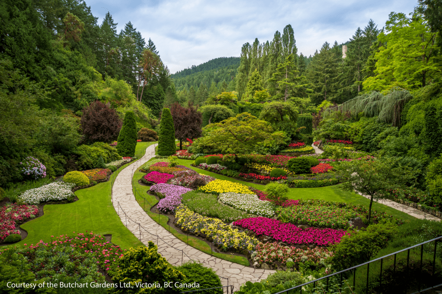 Victoria’s City Highlights & Butchart Gardens Private Tour - Olynpix Tours & Transportation