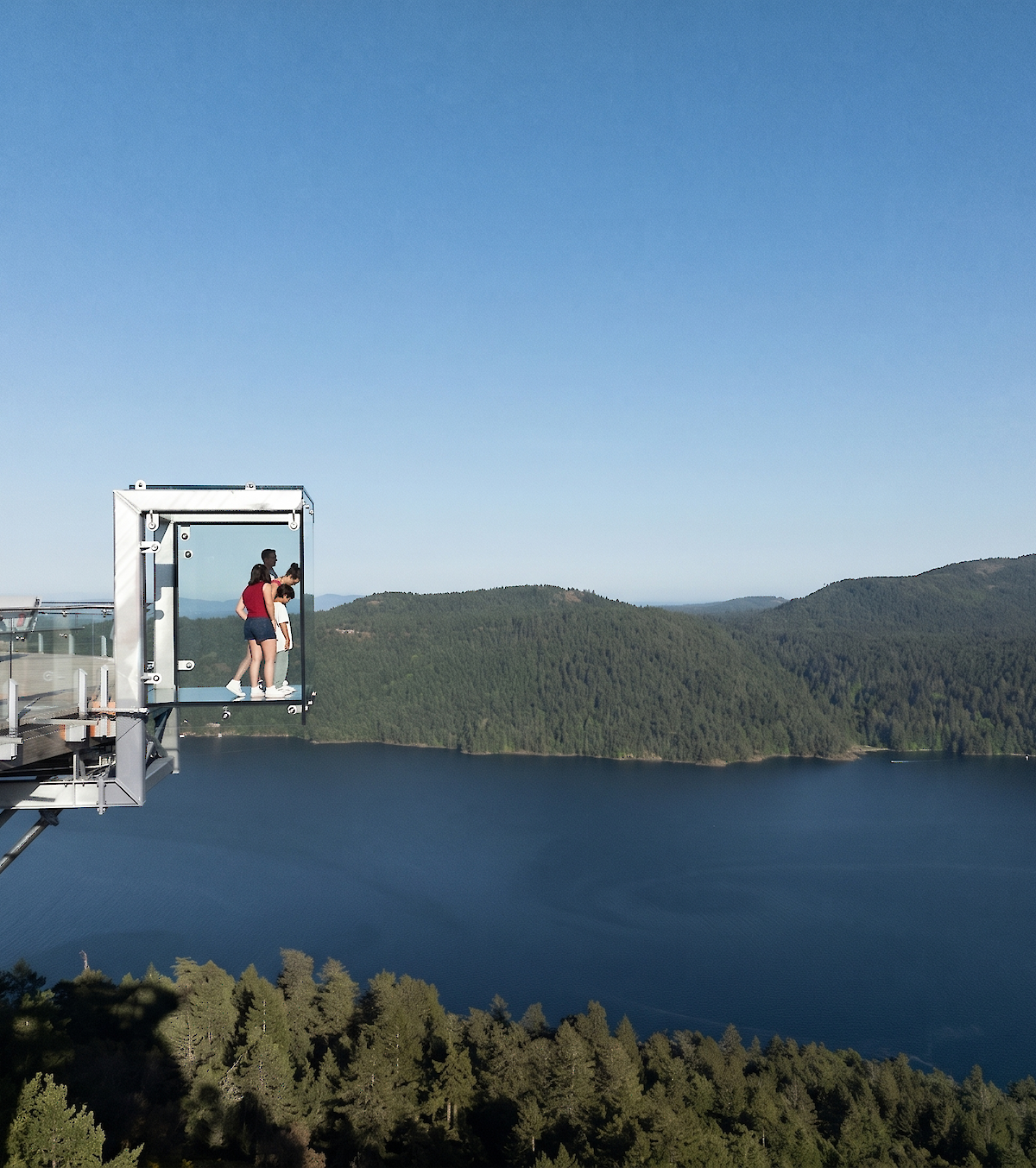 Victoria BC | 4hr Malahat Skywalk & Iconic Landmarks Tour - Victoria Coastal Tours
