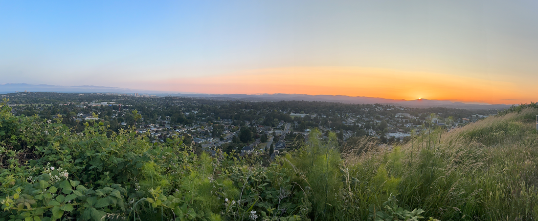 Mount Tolmie: One of Victoria’s Best Scenic Viewpoints