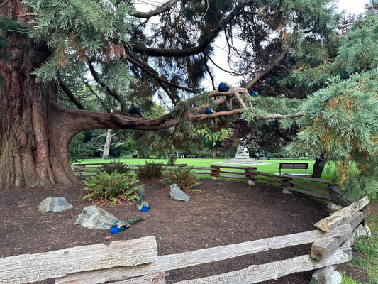 Beacon Hill Park: Victoria’s Beautiful Urban Oasis