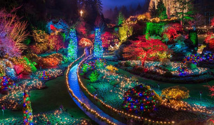 Victoria BC | 4-Hour Butchart Gardens Christmas Lights & City Private Tour - Olynpix Tours & Transportation