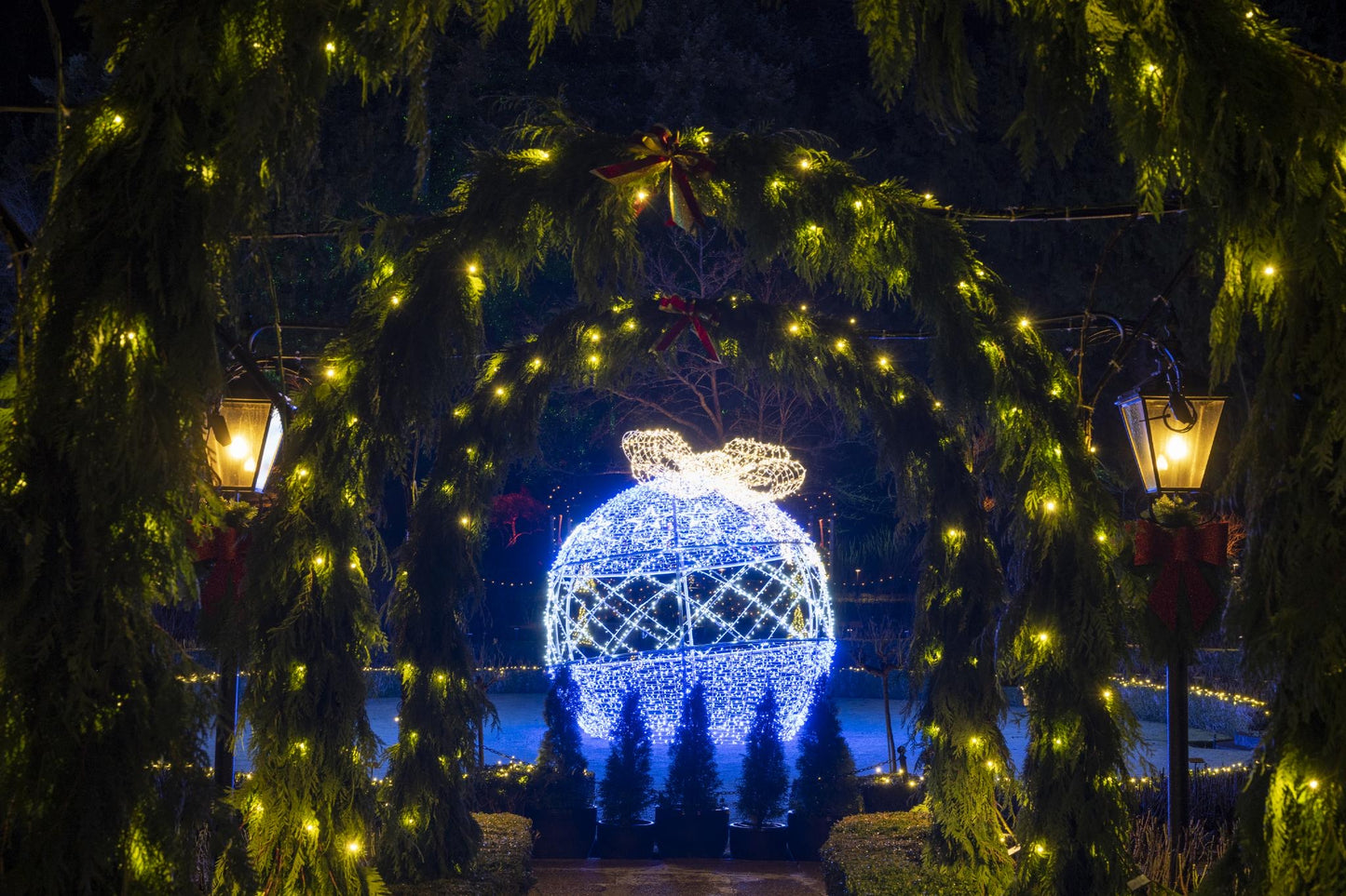 Victoria BC | 4-Hour Butchart Gardens Christmas Lights & City Private Tour - Olynpix Tours & Transportation