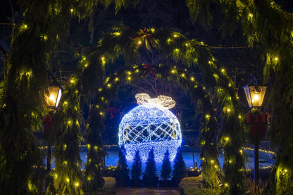 Victoria BC | 4-Hour Butchart Gardens Christmas Lights & City Private Tour - Olynpix Tours & Transportation