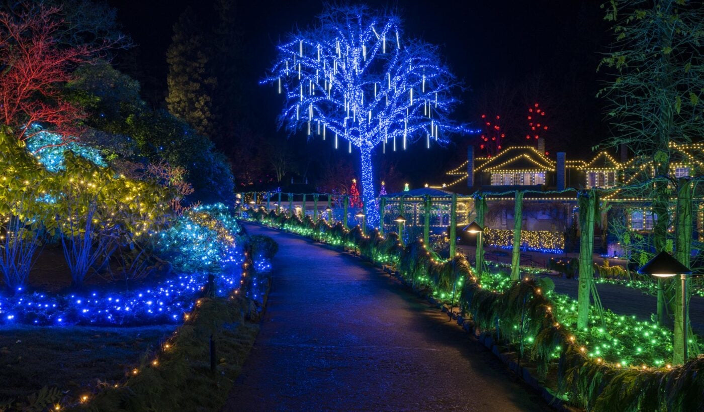 Victoria BC | 4-Hour Butchart Gardens Christmas Lights & City Private Tour - Olynpix Tours & Transportation