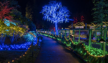 Victoria BC | 4-Hour Butchart Gardens Christmas Lights & City Private Tour - Olynpix Tours & Transportation