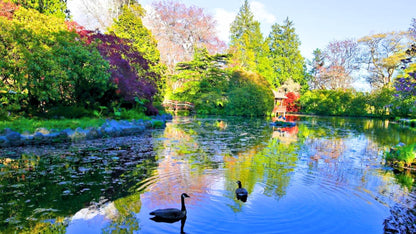 Victoria BC | 4hr Summer Garden Lover’s Private Tour - Olynpix Tours & Transportation