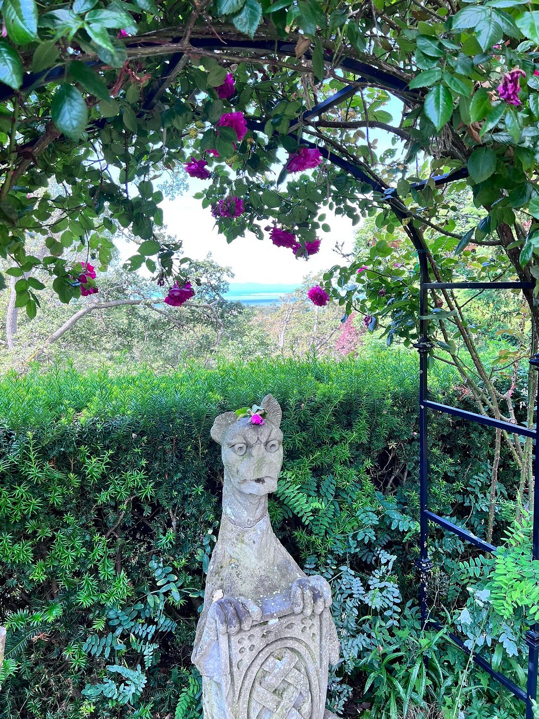 Victoria BC | 4hr Summer Garden Lover’s Private Tour - Olynpix Tours & Transportation