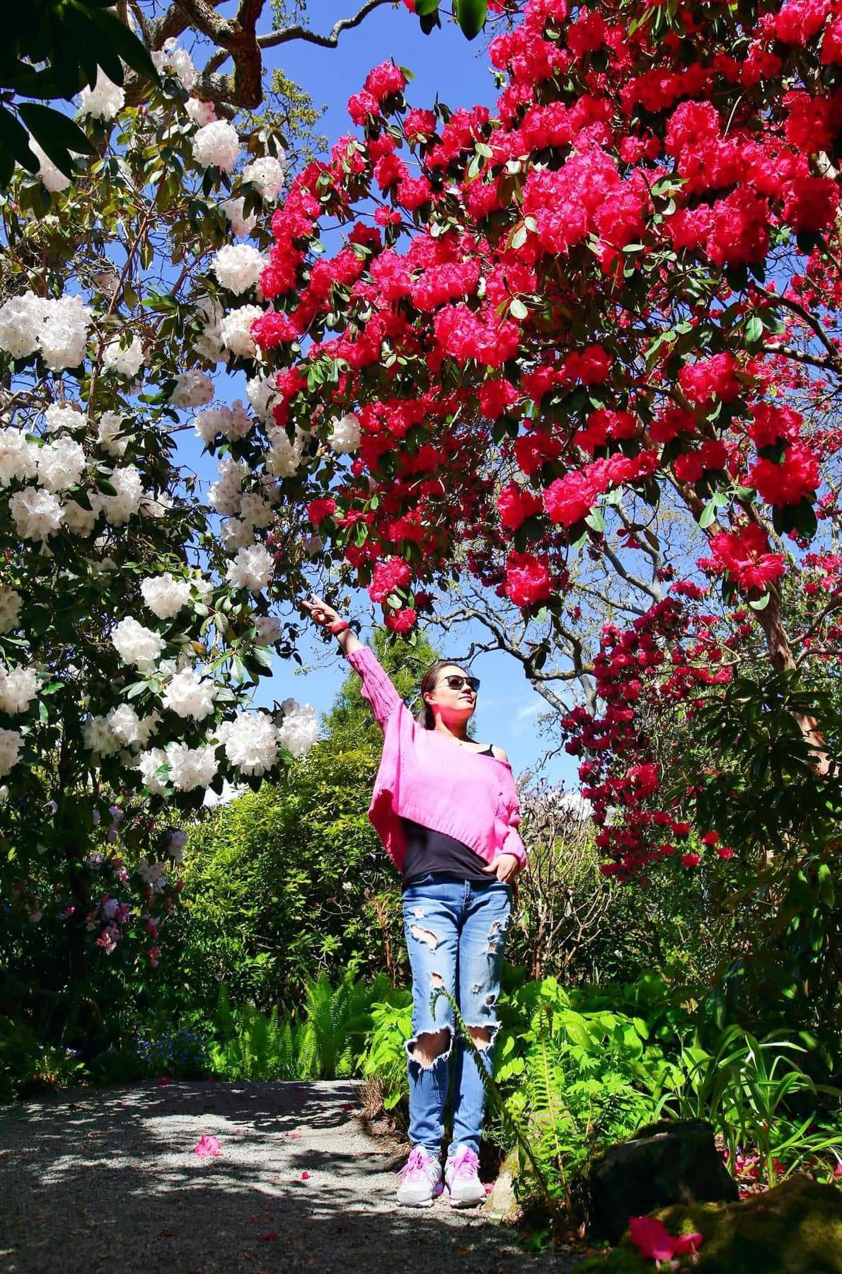 Victoria BC | 7hr Garden Lover’s Private Tour - Olynpix Tours & Transportation