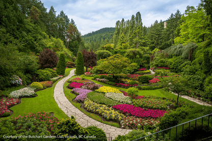 Victoria’s City Highlights & Butchart Gardens Private Tour - Olynpix Tours & Transportation