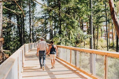 Victoria BC | 4hr Malahat Skywalk & Hatley Castle Tour - Olynpix Tours & Transportation