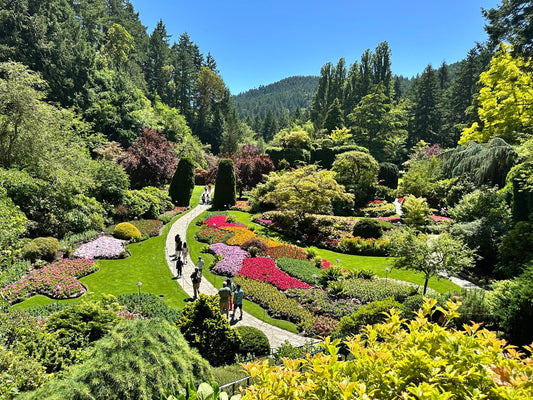 Victoria BC | 4hr Butchart Gardens & City Private Tour - Victoria Coastal Tours