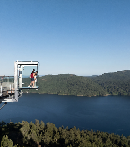 Victoria BC | 4hr Malahat Skywalk & Iconic Landmarks Tour - Victoria Coastal Tours